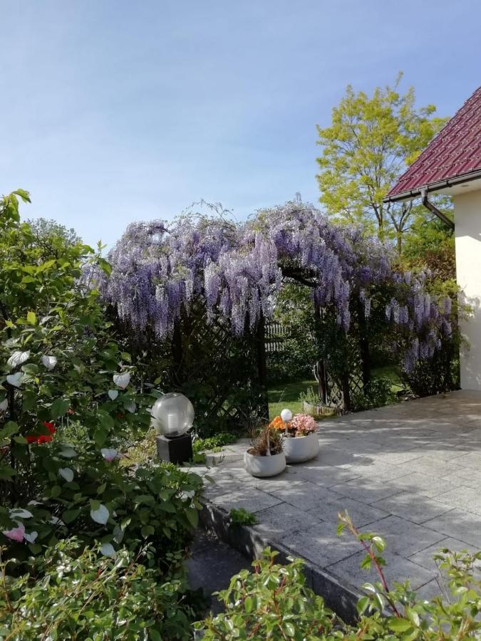 Villa Domek Letniskowy Szuwarek Swinemünde Exterior foto